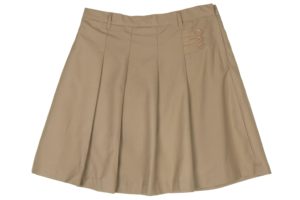 Amity Global School Summer Girl Skirt